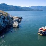Snorkel, Kayak, and Seal Adventure: Vancouver Boat Tour - A Detailed Look at the Vancouver Seal, Snorkel, and Kayak Tour