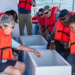Snorkel Tour and Glass-Bottom Boat Ride in Cabo San Lucas - Who Will Love This Tour?