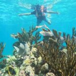 Snorkel Tour on the Costa Maya with experienced Guid - Frequently Asked Questions
