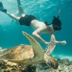Snorkeling 3 Spots with GoPro & West Coast Tour Nusa Penida - An In-Depth Look at the Nusa Penida Tour