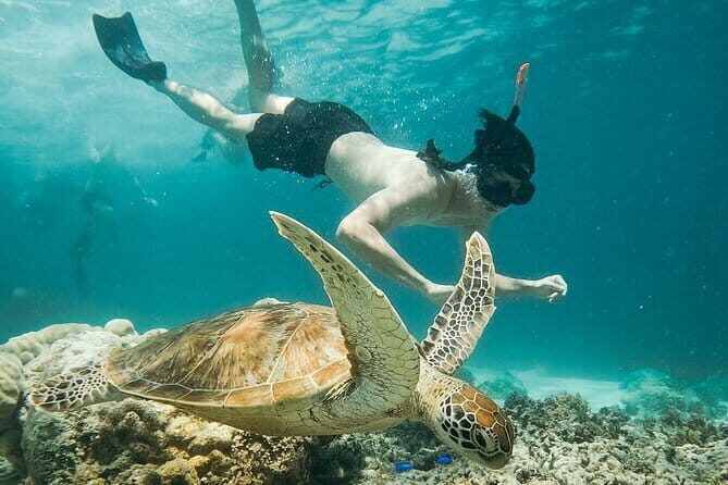 Snorkeling 3 Spots with GoPro & West Coast Tour Nusa Penida - An In-Depth Look at the Nusa Penida Tour