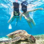 Snorkeling Activity in Okinawa Miyako Japan - Final Thoughts