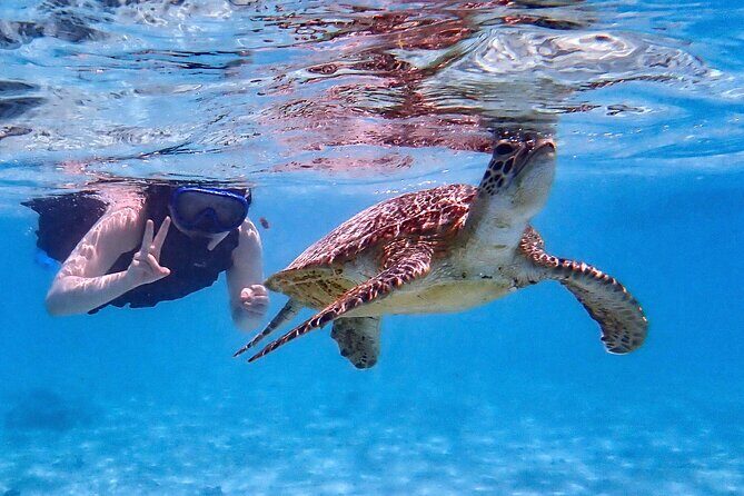 Snorkeling Activity in Okinawa Miyako Japan - Who Will Love This Tour?