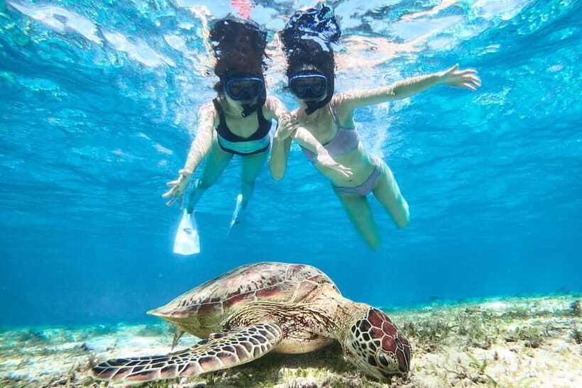 Snorkeling Activity in Okinawa Miyako Japan - Final Thoughts