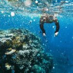 Snorkeling Adventure in La Jolla - The route and highlights on the tour