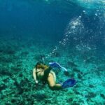 Snorkeling Adventure in Tulum Beach, Kaan Luum Lagoon and Cenote - What’s Included and What’s Not