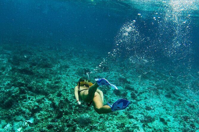 Snorkeling Adventure in Tulum Beach, Kaan Luum Lagoon and Cenote - What’s Included and What’s Not