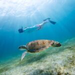 Snorkeling and Dolphin Watching Experience in Destin - Authentic Reviews and What They Tell Us
