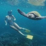 Snorkeling at Pigeon Island - Deep Dive into the Experience