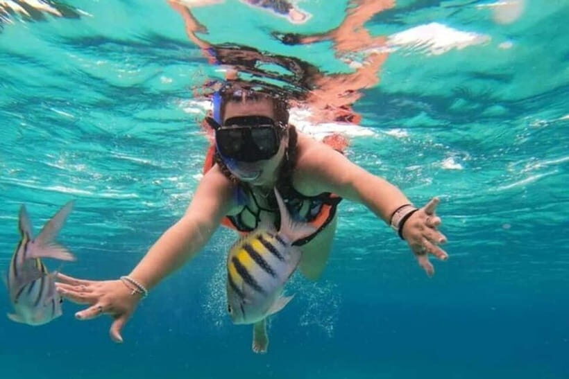 Snorkeling at Pigeon Island Trincomalee - Summary of Experience