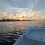 Snorkeling, Dolphin and Wildlife Sightings at St. Andrews Bay - Who Will Love This Tour?