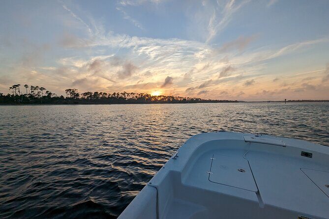 Snorkeling, Dolphin and Wildlife Sightings at St. Andrews Bay - Who Will Love This Tour?