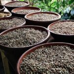 Snorkeling Experience At Blue Lagoon Bali With Lunch And Transfers - What To Expect: Practical Details