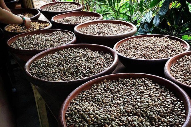 Snorkeling Experience At Blue Lagoon Bali With Lunch And Transfers - What To Expect: Practical Details