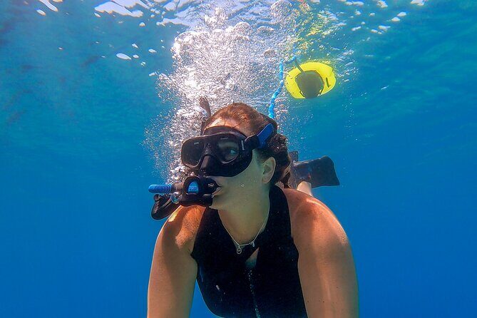 Snorkeling Experience on a NEMO Diving System