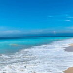 Snorkeling in Negombo - What to Expect: A Step-by-Step Overview