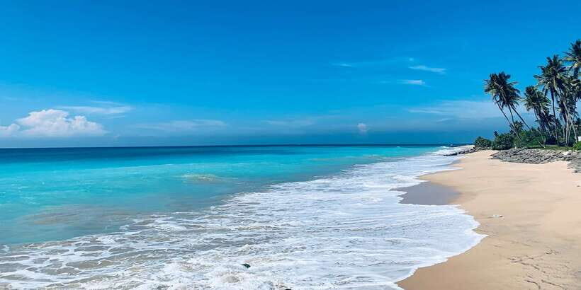 Snorkeling in Negombo - What to Expect: A Step-by-Step Overview