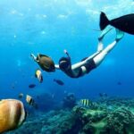 Snorkeling In Nusa Penida And Uluwatu Sunset Tours - The Sum Up