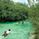 Snorkeling in Sian Ka'an - The Practicalities: Value, Group Size, and Booking