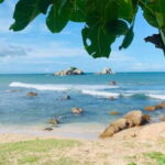 Snorkeling in Trincomalee - What You Can Expect on Your Snorkeling Trip