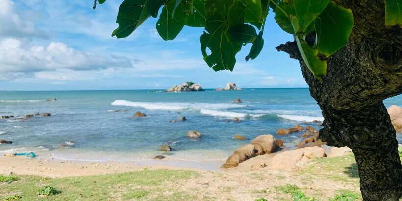 Snorkeling in Trincomalee - What You Can Expect on Your Snorkeling Trip