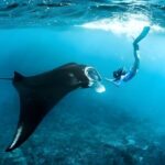Snorkeling in Wall Point, Gamat Bay and Manta Bay: Nusa Penida Island - A Deep Dive into the Experience