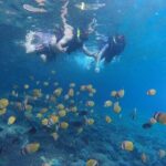 Snorkeling Manta Bay And West Penida Private Guided Tour - An In-Depth Look at the Tour Experience
