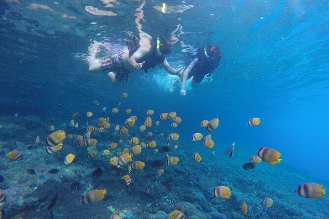 Snorkeling Manta Bay And West Penida Private Guided Tour - An In-Depth Look at the Tour Experience