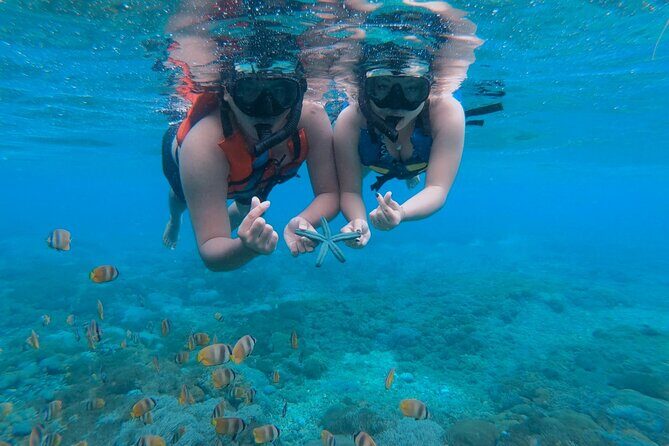 Snorkeling Manta Rays and Land Tour Nusa Penida  All-Included - Who Should Consider This Tour?