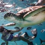 Snorkeling Tour In Gili Trawangan, Gili Meno And Gili Air Pick Up From Bali - A Close Look at the Itinerary