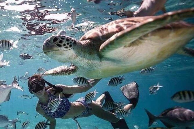 Snorkeling Tour In Gili Trawangan, Gili Meno And Gili Air Pick Up From Bali - A Close Look at the Itinerary