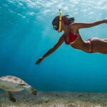 Snorkeling Trip from Polhena Beach, Matara, Sri Lanka - Authentic Experiences from Travelers