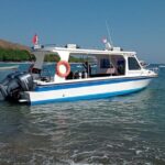 Snorkeling Trip to Menjangan Island - Who Should Consider This Trip?