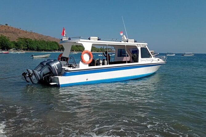 Snorkeling Trip to Menjangan Island - Who Should Consider This Trip?