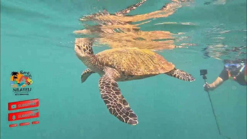 Snorkeling Trip To Pigeon Island - Detailed Breakdown of the Experience