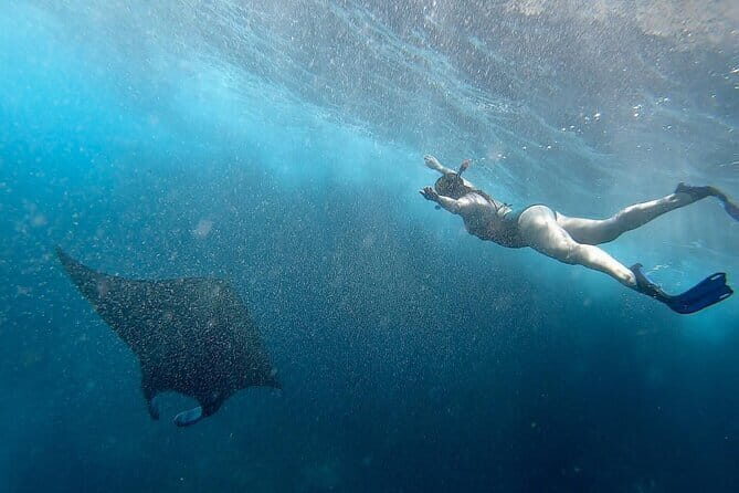 Snorkeling with Manta Rays from Maafushi - Final Thoughts on Snorkeling with Manta Rays from Maafushi