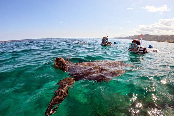 Snorkeling with sea turtles - Final Thoughts: Is This Tour Worth It?