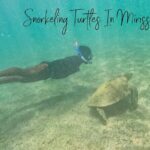 Snorkeling with Turtles in Mirissa - Frequently Asked Questions (FAQs)