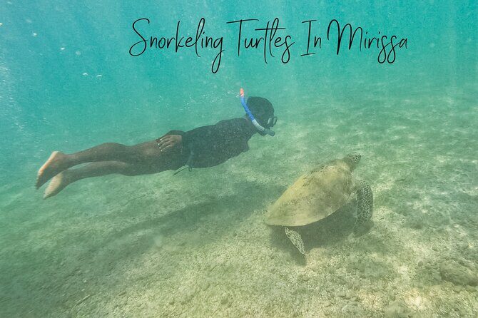 Snorkeling with Turtles in Mirissa - Frequently Asked Questions (FAQs)