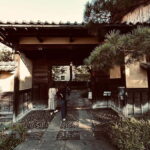 Snow Monkey, Hokusai & Sake: A Perfect Day in Nagano - Why This Tour Offers Real Value