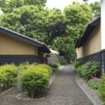 Snow Monkey in "Jigokudani Yaen-koen" & Obuse Town - Exploring Obuse Town