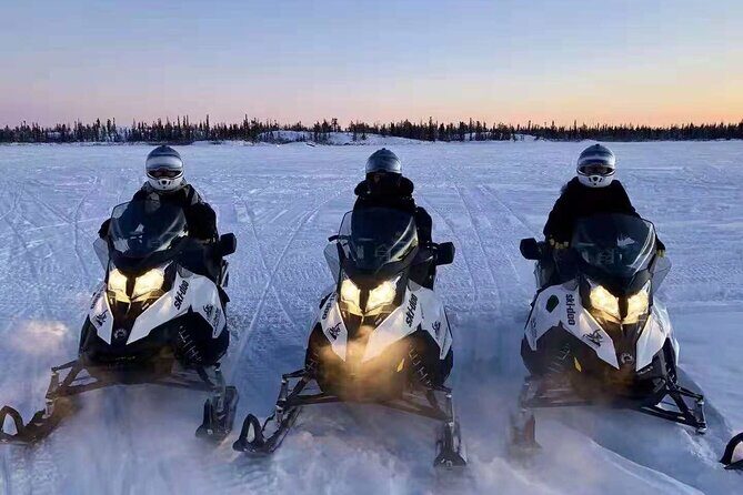 Snowmobile Tour - Analyzing the Cost and Value