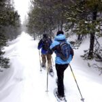 Snowshoe Adventure Frozen Falls and Firelight Tour - Authentic Experience and Guides You Can Trust