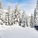Snowshoe Through Vancouver's Winter Wonderland - Practical Tips for Your Snowshoe Adventure