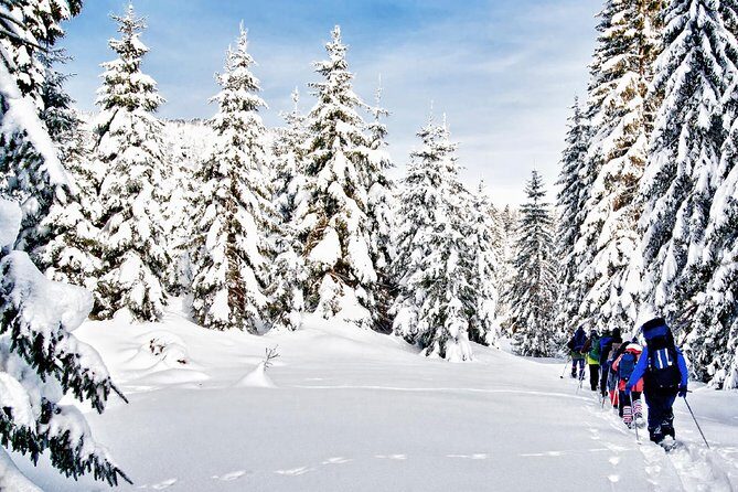 Snowshoe Through Vancouver's Winter Wonderland - Practical Tips for Your Snowshoe Adventure