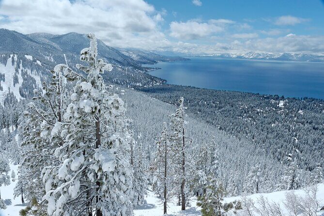 Snowshoe Tour in the Lake Tahoe Mountains - Price and Value