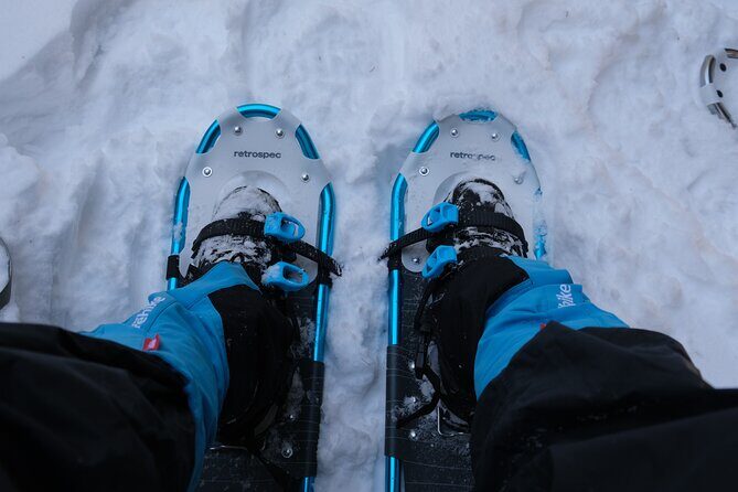 Snowshoeing in Rocky Mountains - What to Expect Step-by-Step