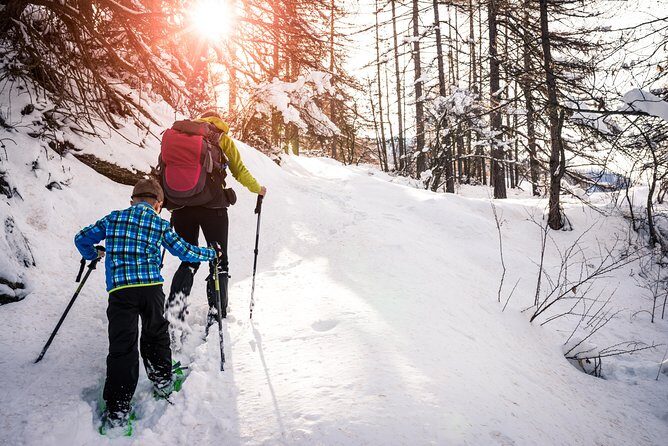 Snowshoeing Tour in Jacques-Cartier National Park - Considerations & Tips for Travelers