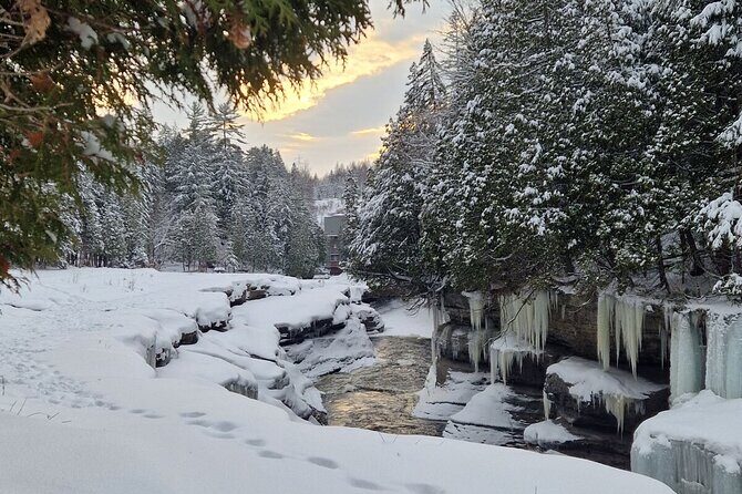 Snowshoeing with mountain goats Private activity - Exploring Quebec’s Jacques Cartier Valley with a private snowshoe adventure