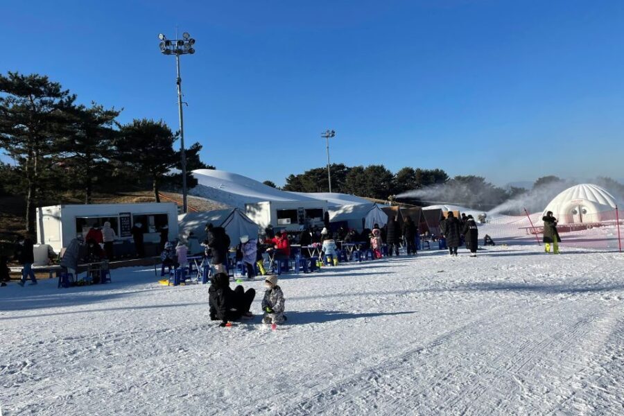 Snowy Land, Alpaca World, and Strawberry Picking - Who Will Enjoy This Tour?